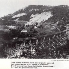 FORKS WOOD TRESTLE BRIDGE