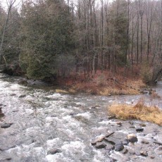FORKS OF THE CREDIT RIVER